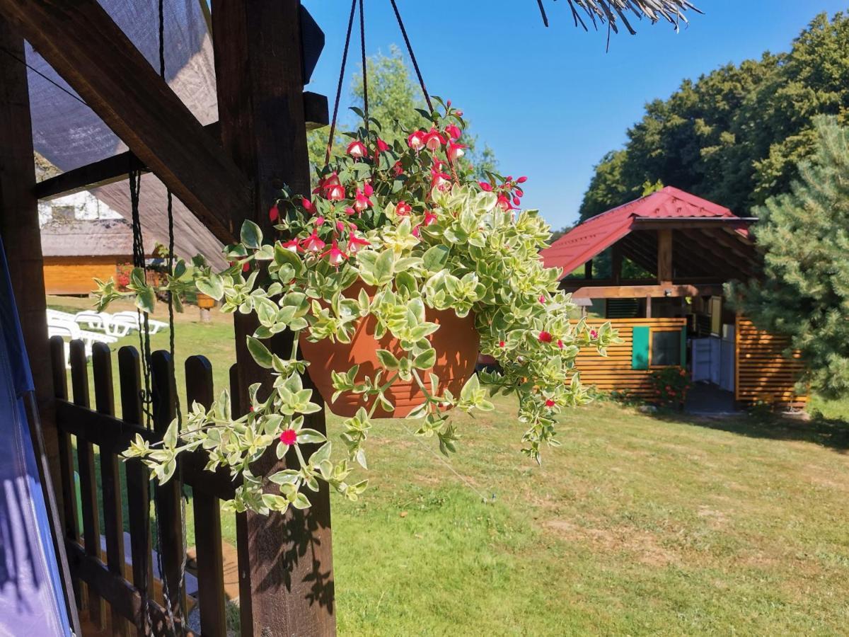 Camping Silva ليوتومير المظهر الخارجي الصورة