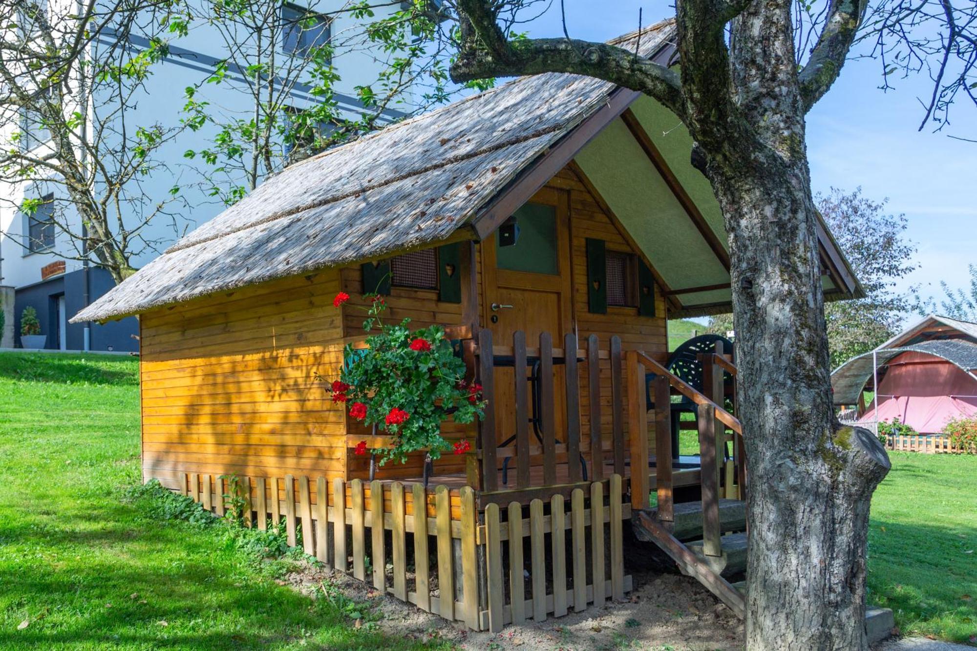 Camping Silva ليوتومير المظهر الخارجي الصورة