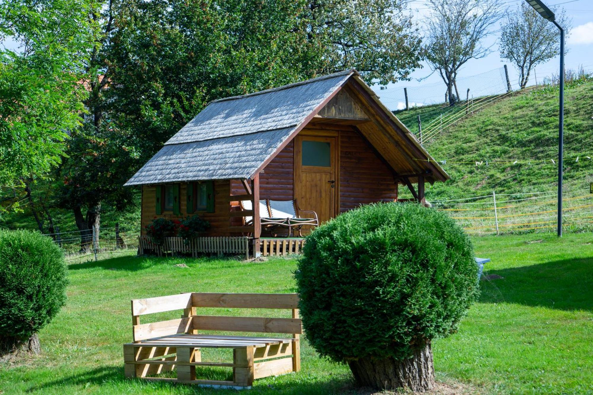 Camping Silva ليوتومير المظهر الخارجي الصورة
