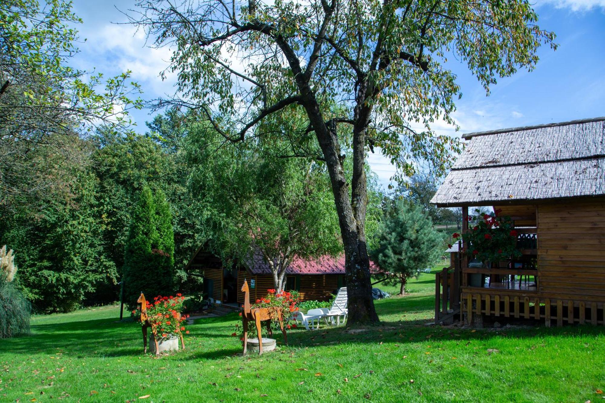 Camping Silva ليوتومير المظهر الخارجي الصورة