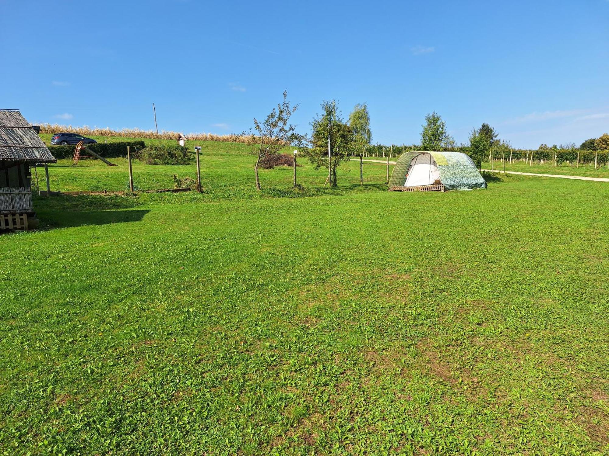 Camping Silva ليوتومير المظهر الخارجي الصورة