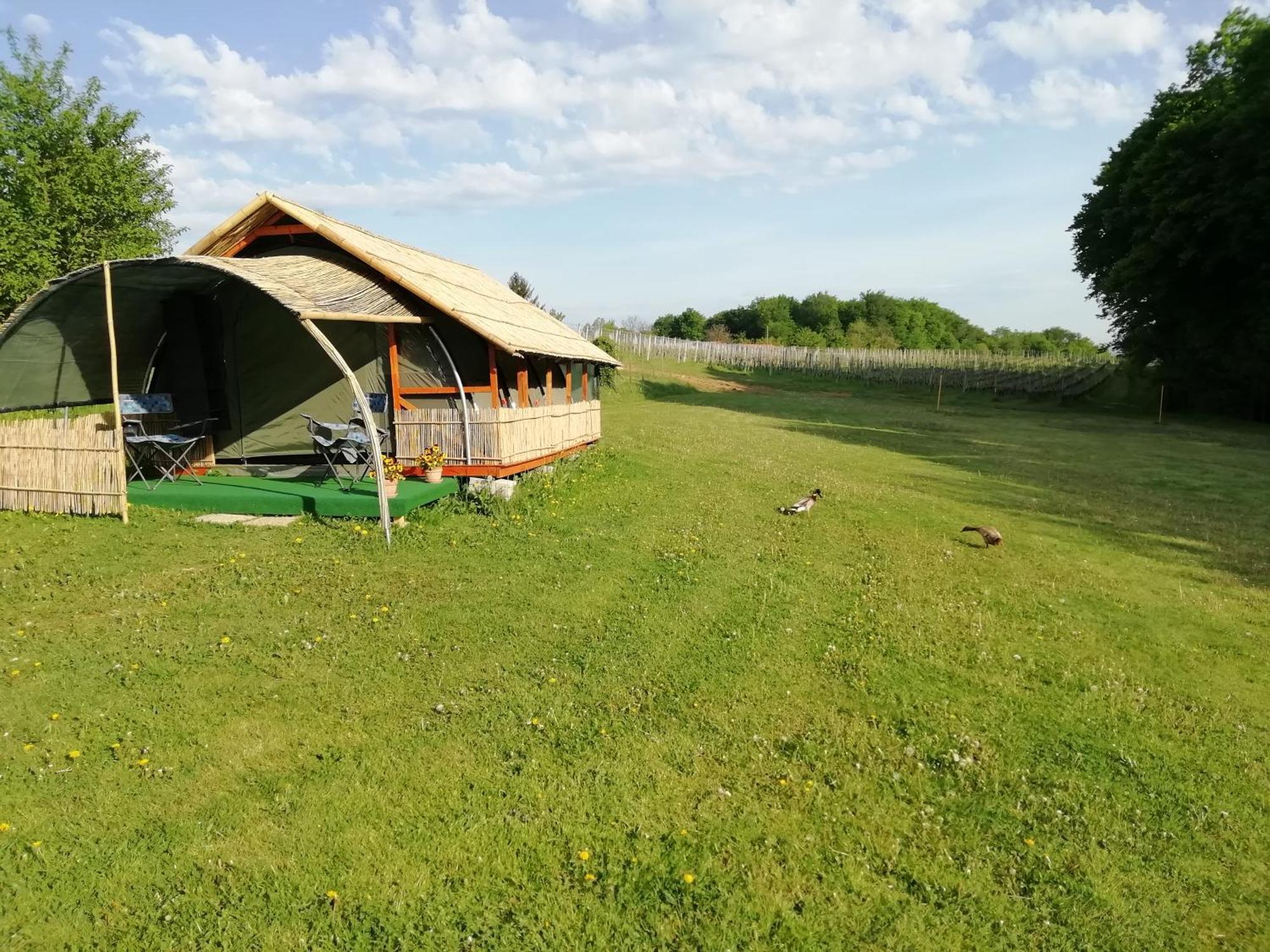 Camping Silva ليوتومير المظهر الخارجي الصورة